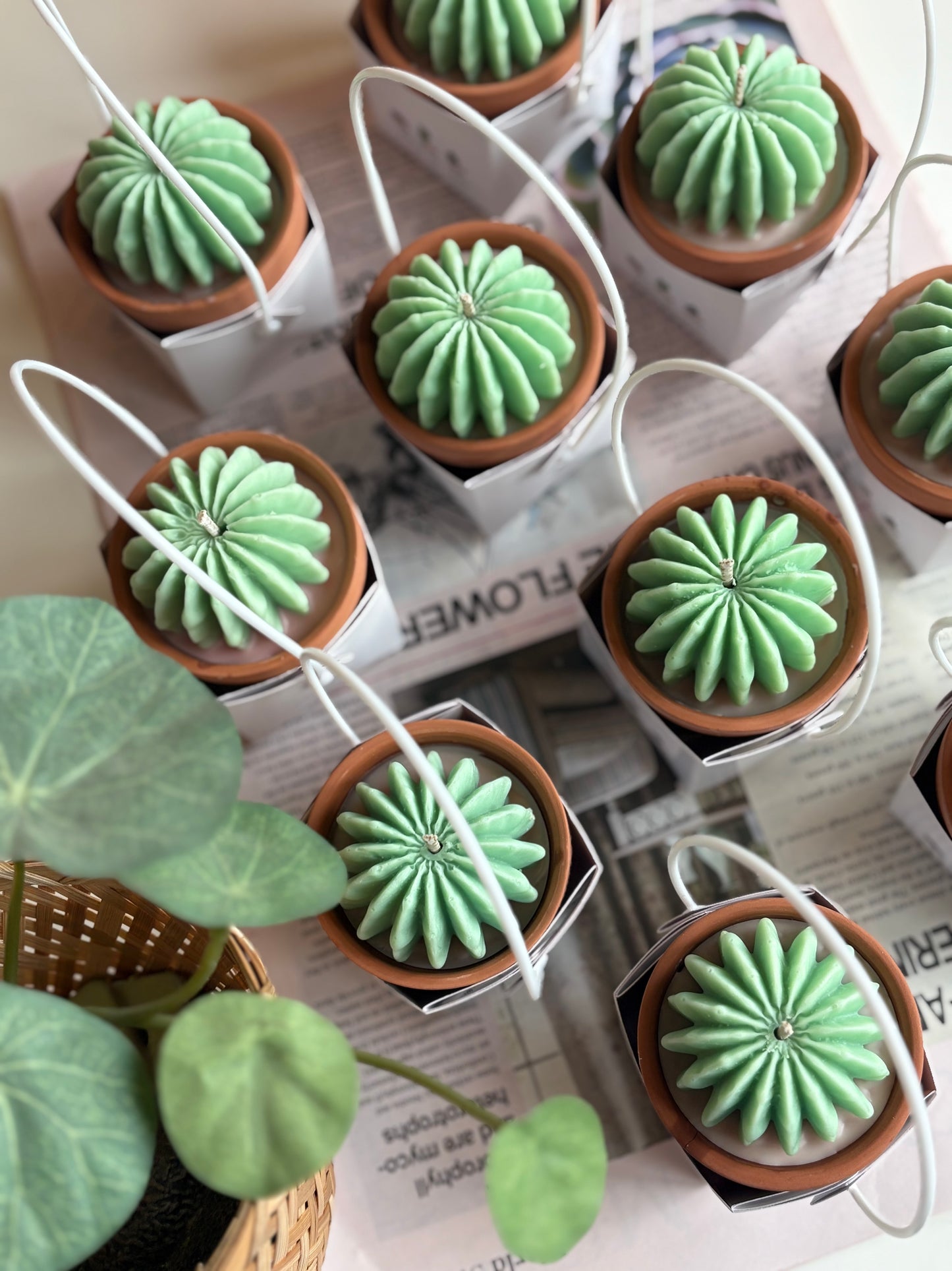 Cactus candle giveaways