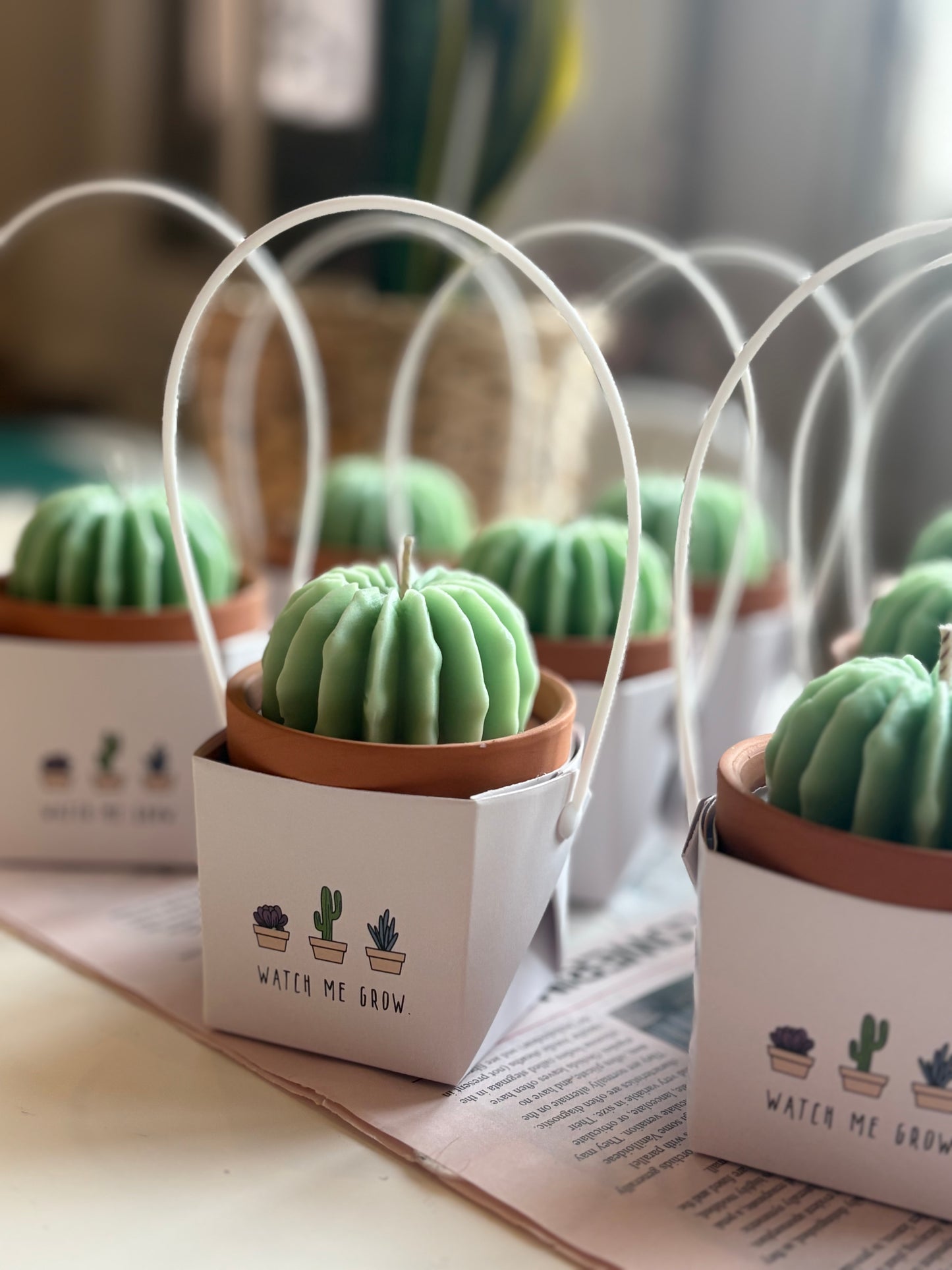 Cactus candle giveaways
