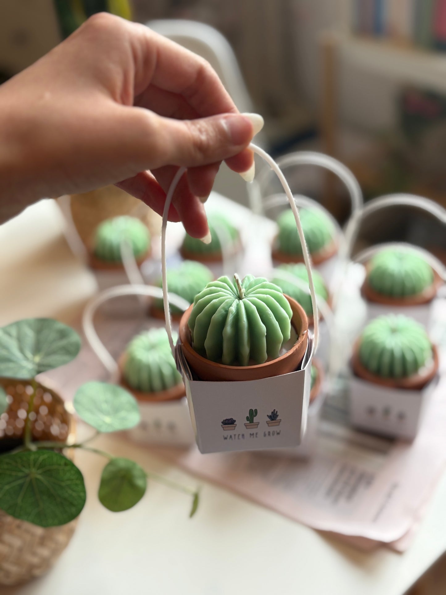 Cactus candle giveaways
