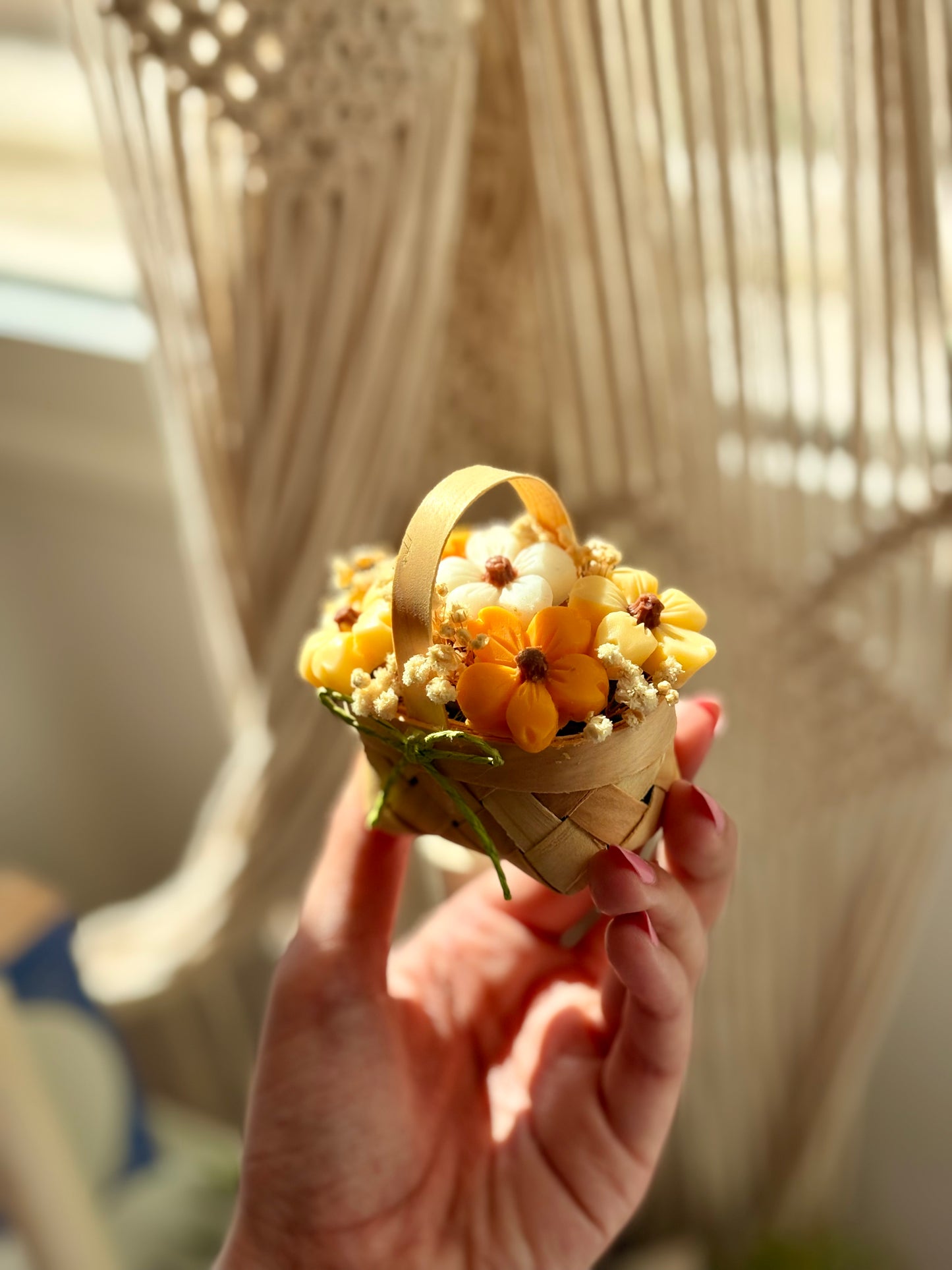 توزيعات ميني سله بوكيه