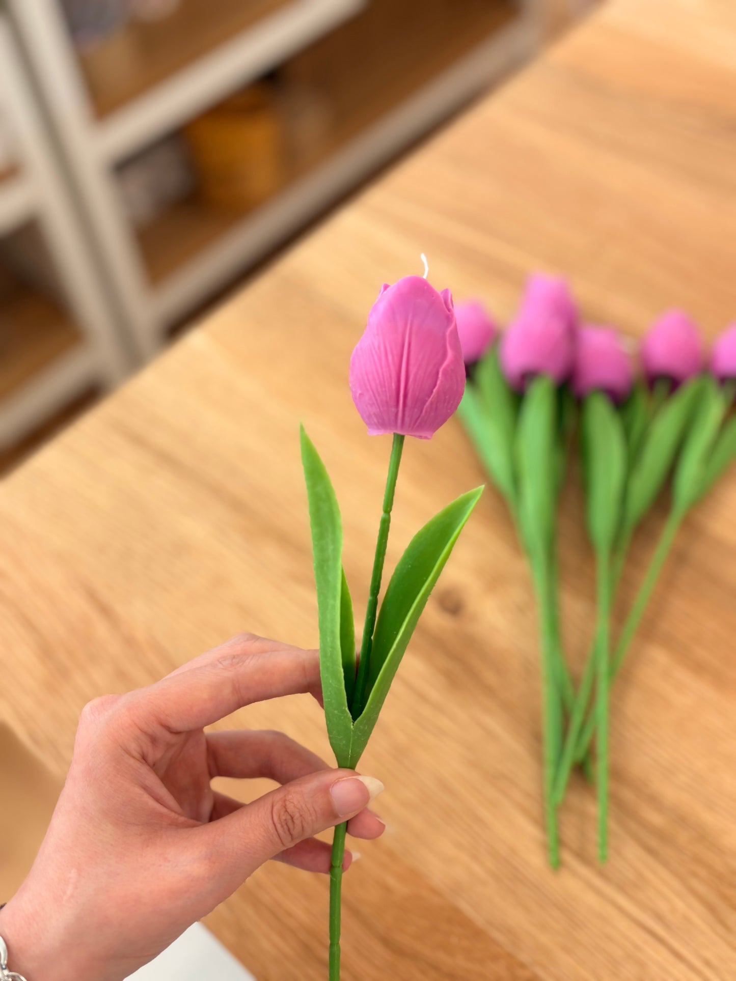 Tulip single flowers giveaways