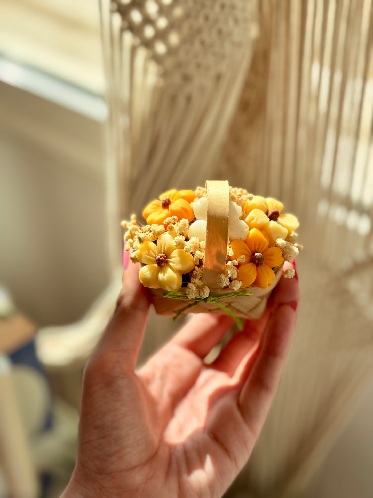 توزيعات ميني سله بوكيه 